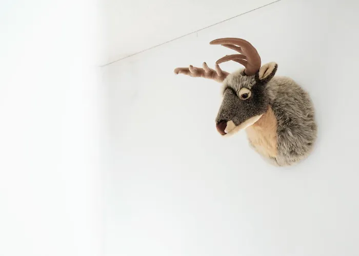 Διαμέρισμα Cocoon Am Schloss By Stadtlandnest